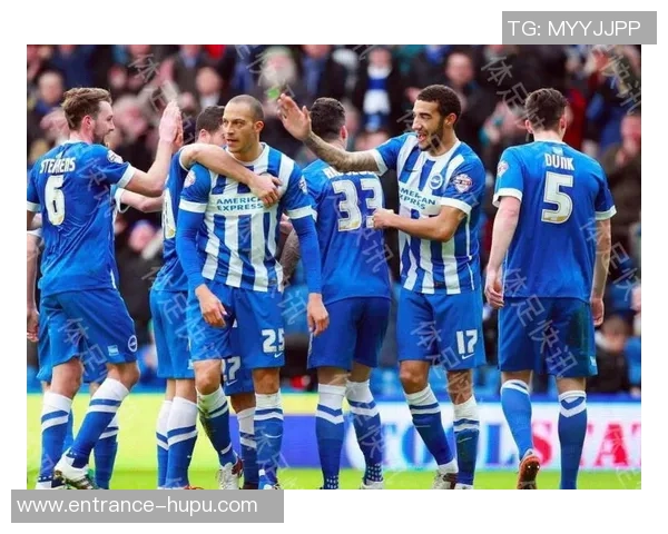 埃弗顿与布莱顿精彩对决全场录像回放及精彩瞬间分析